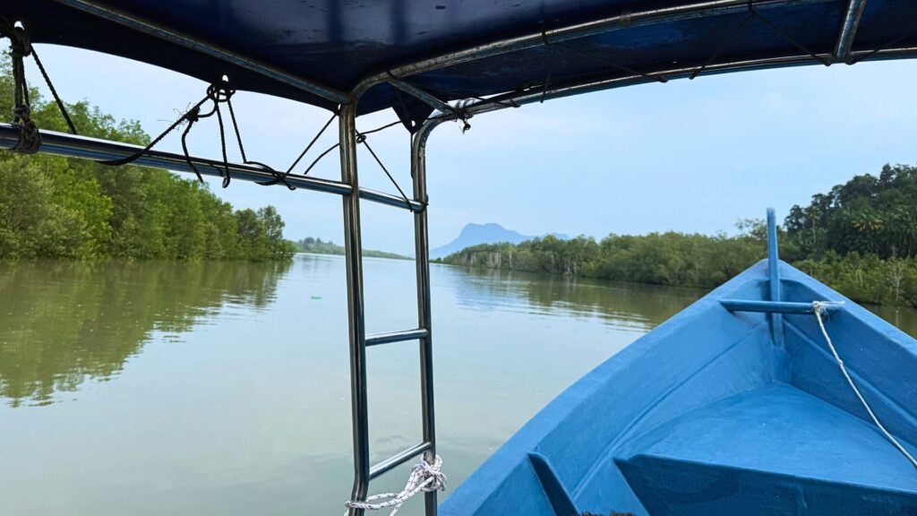Tutto ciò che devi sapere sul Bako National Park barca per bako